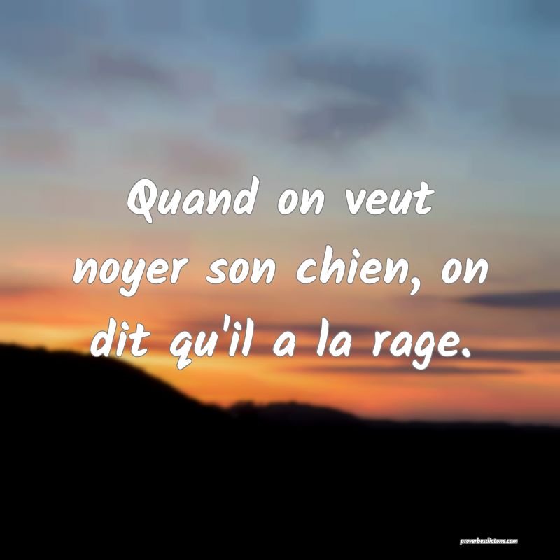 Quand on veut noyer son chien, on dit qu'il a la rage.