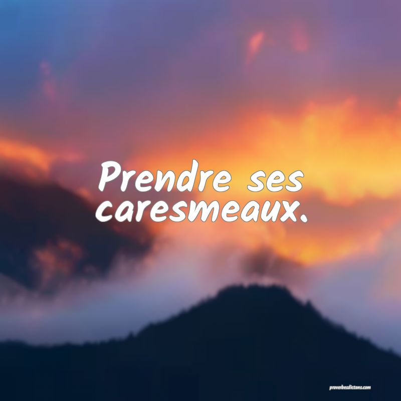 Prendre ses caresmeaux.