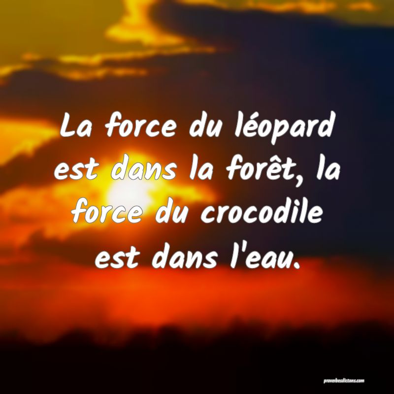 La force du léopard est dans la forêt, la force du crocodile est dans l'eau.