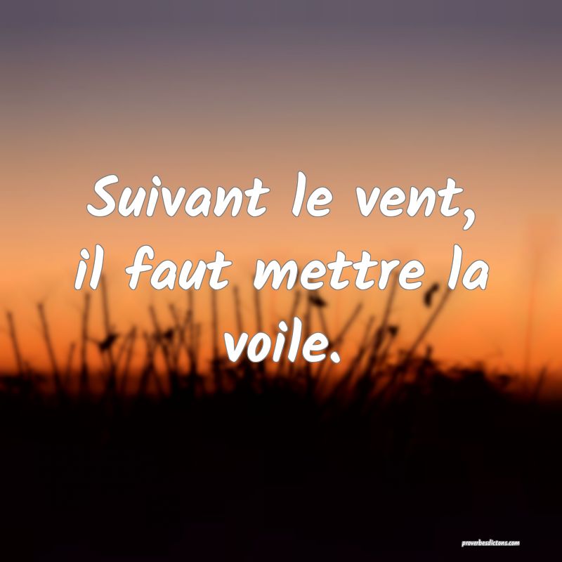 Suivant le vent, il faut mettre la voile.