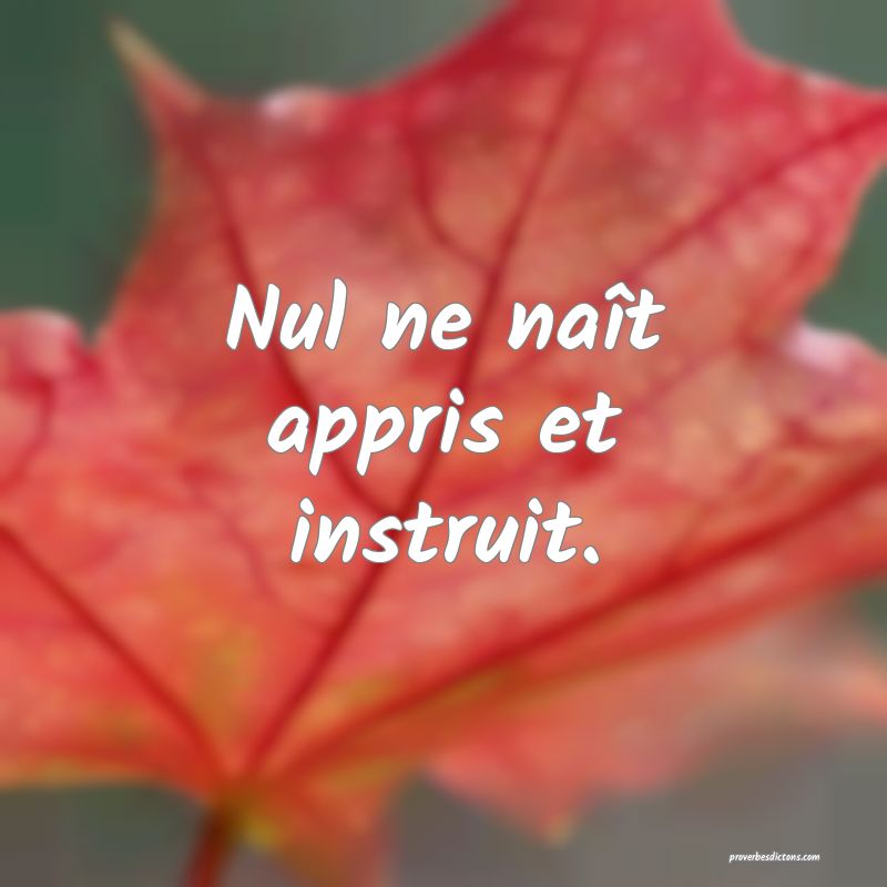 Nul ne naît appris et instruit.