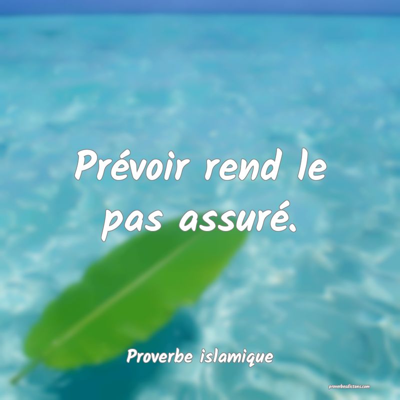 Prévoir rend le pas assuré.
