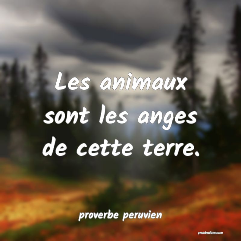  Les animaux sont les anges de cette terre.