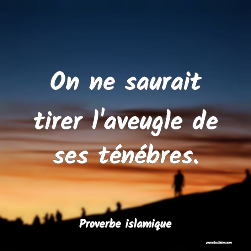 On ne saurait tirer l'aveugle de ses ténébres.
