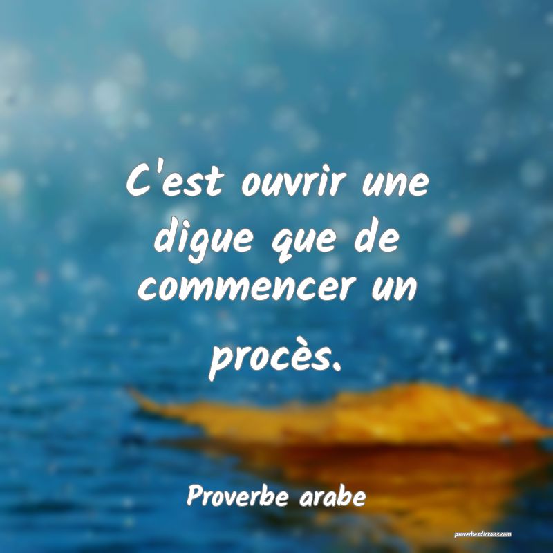 C'est ouvrir une digue que de commencer un procès.
