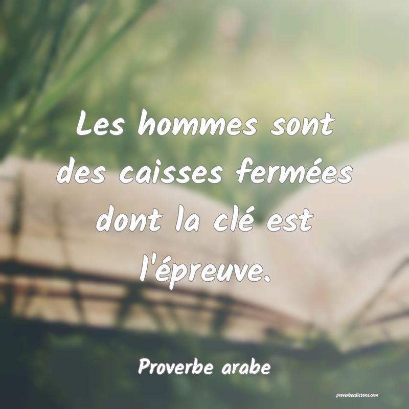 Les hommes sont des caisses fermées dont la clé est l'épreuve.
