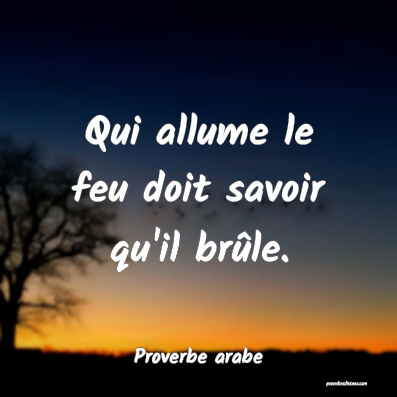 Qui allume le feu doit savoir qu'il brûle.
