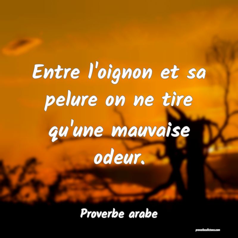 Entre l'oignon et sa pelure on ne tire qu'une mauvaise odeur.

