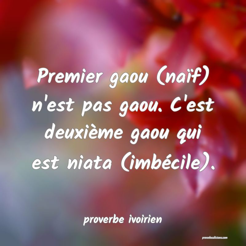 Premier gaou (naïf) n'est pas gaou. C'est deuxième gaou qui est niata (imbécile).