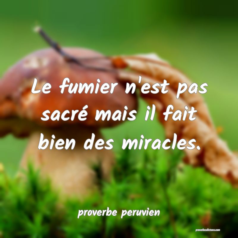 Le fumier n'est pas sacré mais il fait bien des miracles.