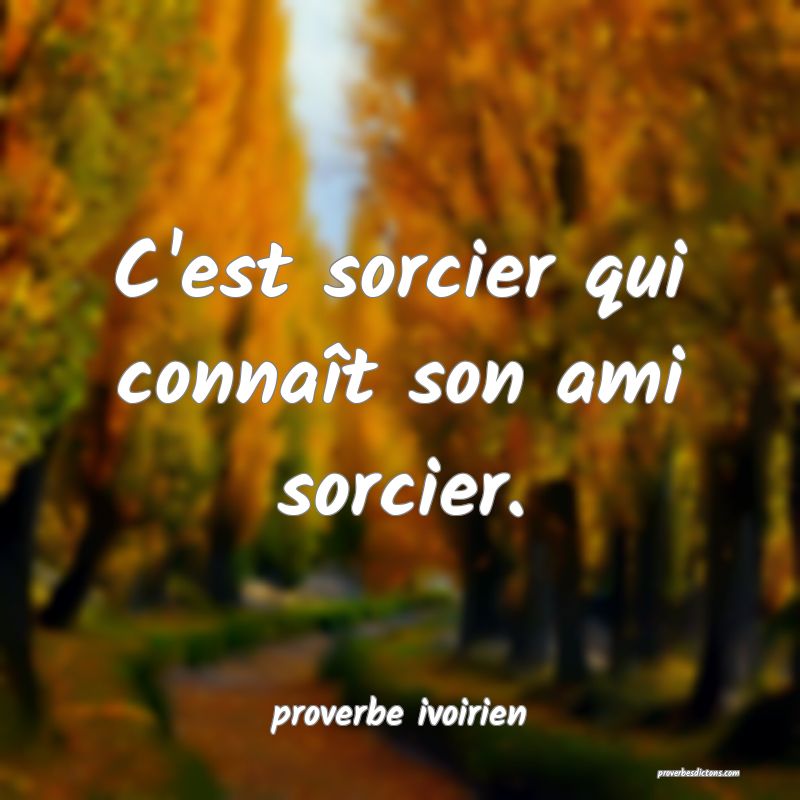 C'est sorcier qui connaît son ami sorcier.