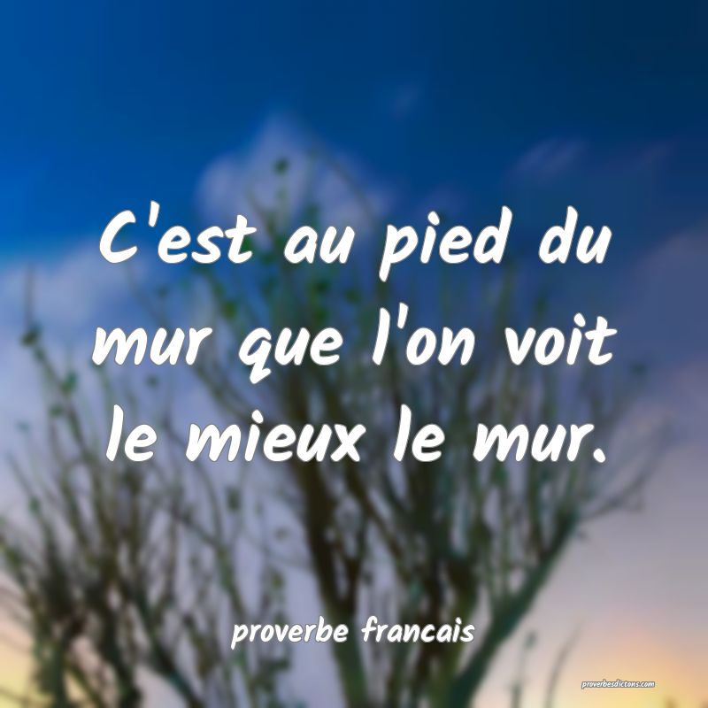  C'est au pied du mur que l'on voit le mieux le mur.