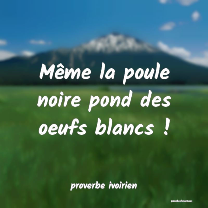 Même la poule noire pond des oeufs blancs !