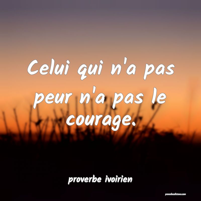 Celui qui n'a pas peur n'a pas le courage.