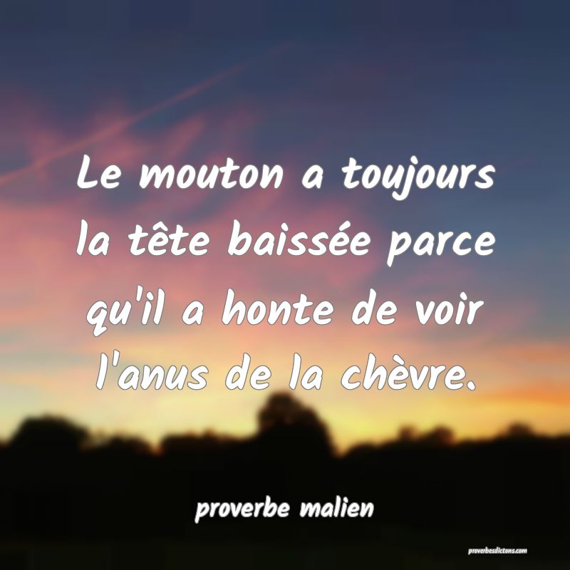 Le mouton a toujours la tête baissée parce qu'il a honte de voir l'anus de la chèvre.