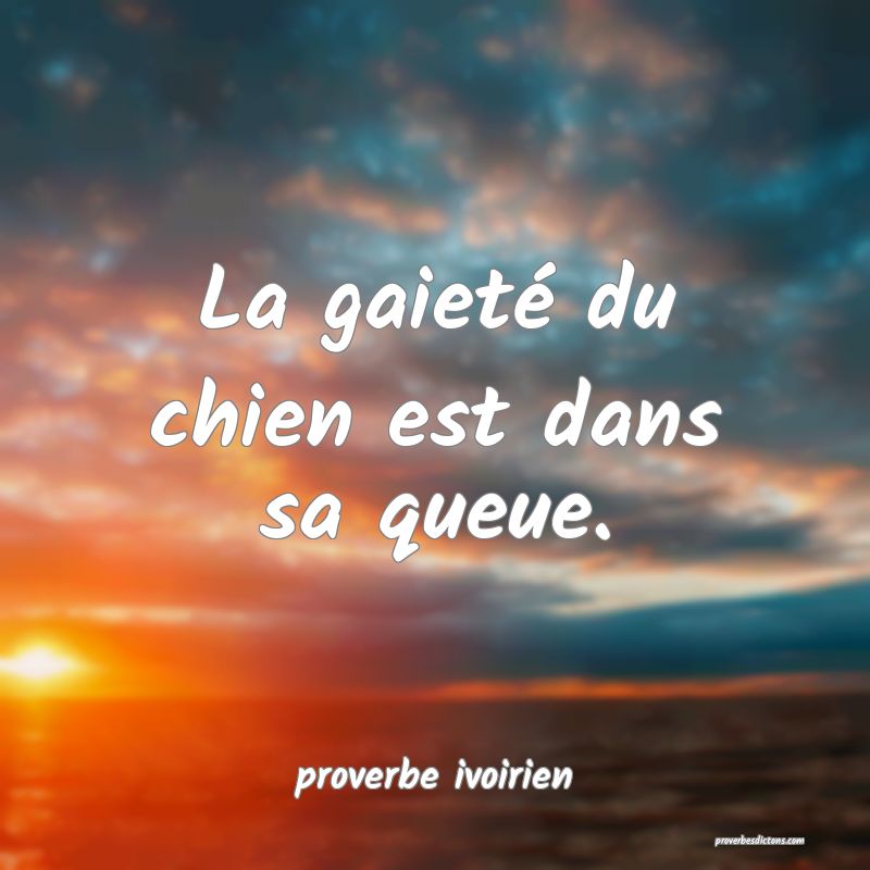 La gaieté du chien est dans sa queue.