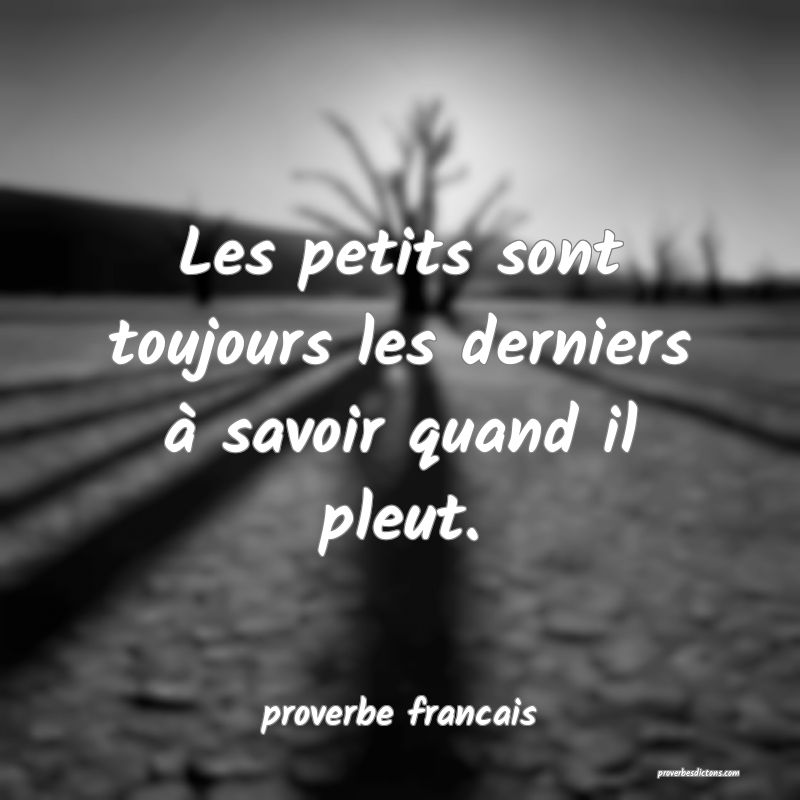  Les petits sont toujours les derniers à savoir quand il pleut.