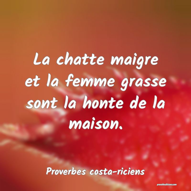 La chatte maigre et la femme grasse sont la honte de la maison.