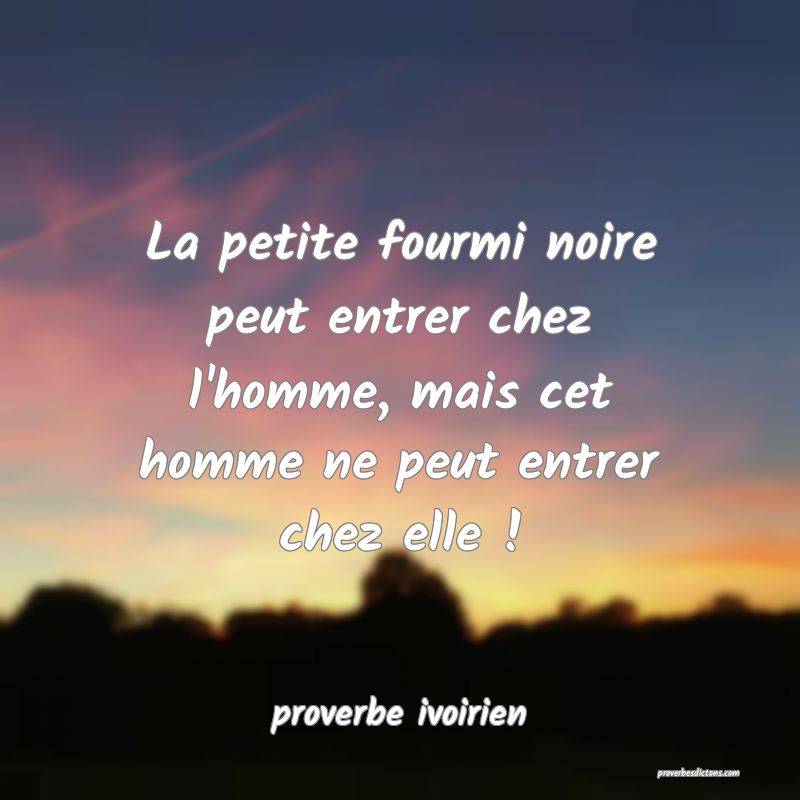 La petite fourmi noire peut entrer chez l'homme, mais cet homme ne peut entrer chez elle !
