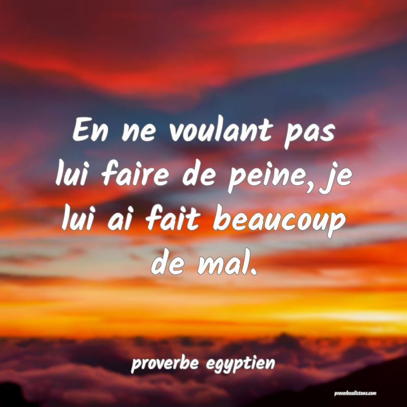 En ne voulant pas lui faire de peine, je lui ai fait beaucoup de mal.