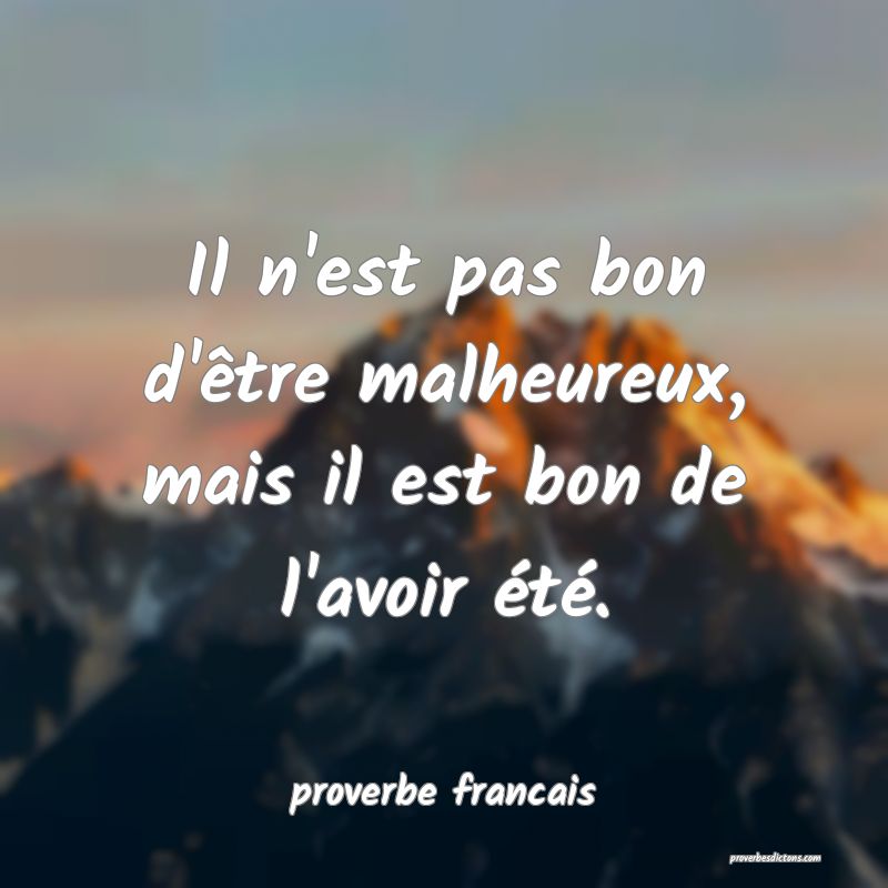 Il n'est pas bon d'être malheureux, mais il est bon de l'avoir été.