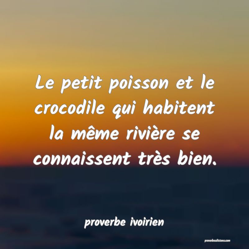Le petit poisson et le crocodile qui habitent la même rivière se connaissent très bien.