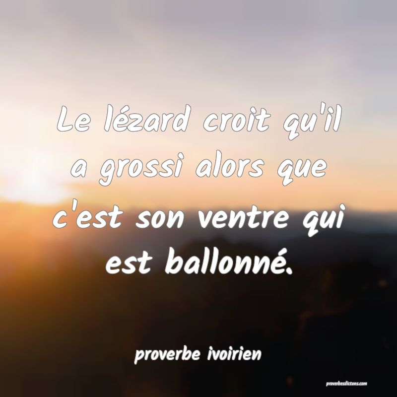 Le lézard croit qu'il a grossi alors que c'est son ventre qui est ballonné.