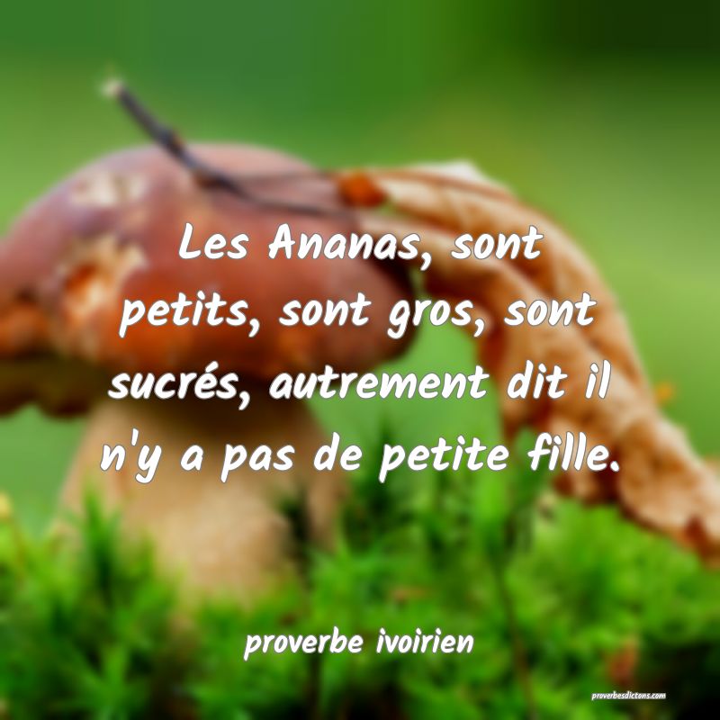 Les Ananas, sont petits, sont gros, sont sucrés, autrement dit il n'y a pas de petite fille.