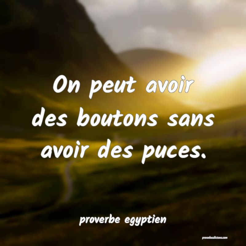 On peut avoir des boutons sans avoir des puces.