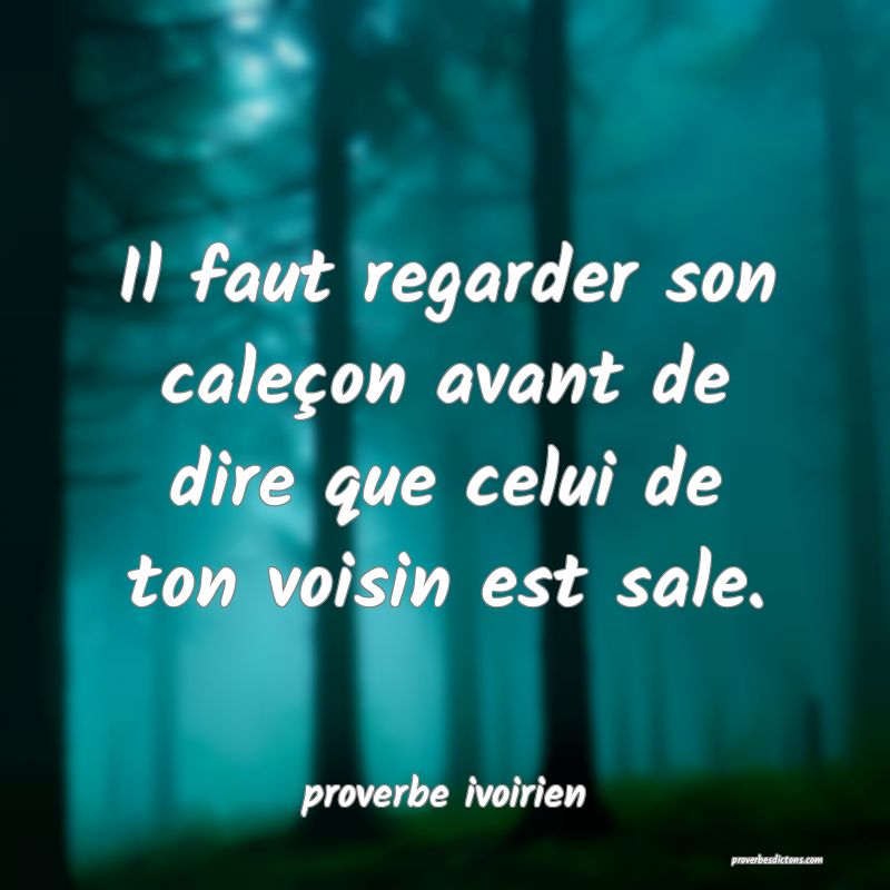 Il faut regarder son caleçon avant de dire que celui de ton voisin est sale.