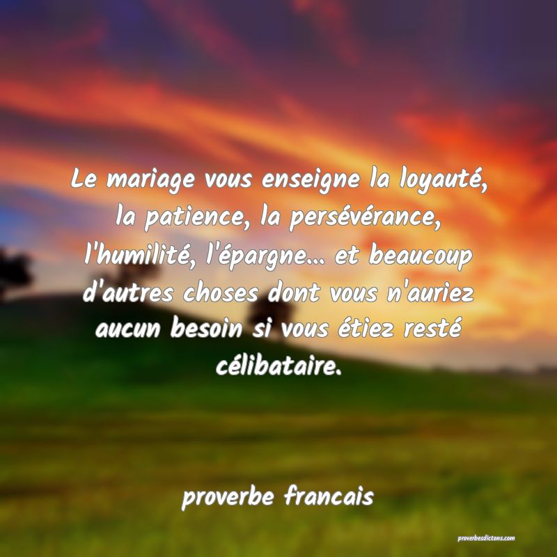 Le mariage vous enseigne la loyauté, la patience, la persévérance, l'humilité, l'épargne... et beaucoup d'autres choses dont vous n'auriez aucun besoin si vous étiez resté célibataire.