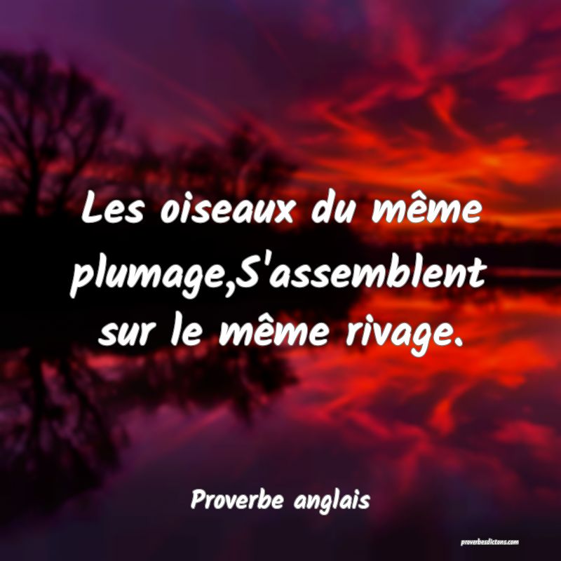 Les oiseaux du même plumage,S'assemblent sur le même rivage.