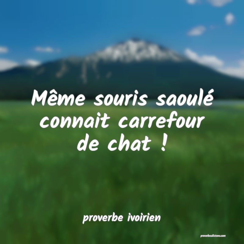 Même souris saoulé connait carrefour de chat !