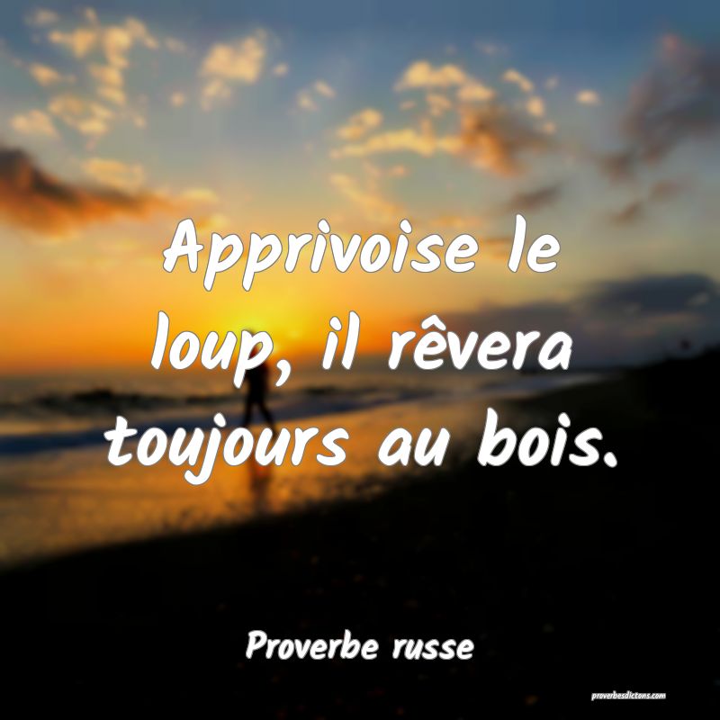 Apprivoise le loup, il rêvera toujours au bois.