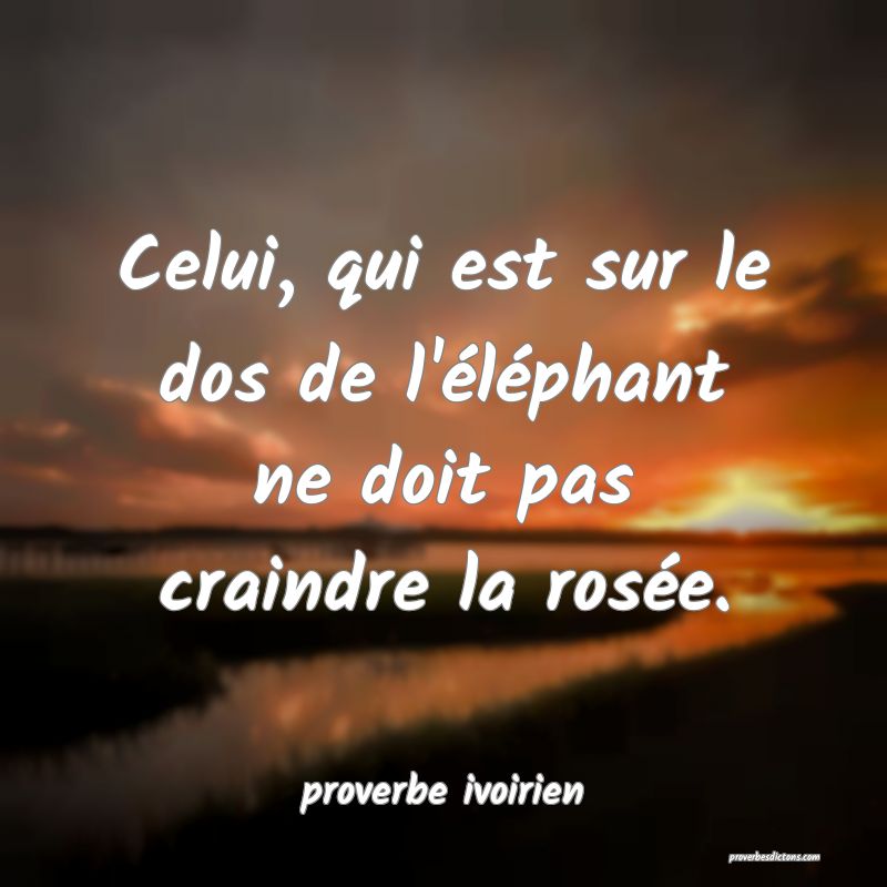 Celui, qui est sur le dos de l'éléphant ne doit pas craindre la rosée.