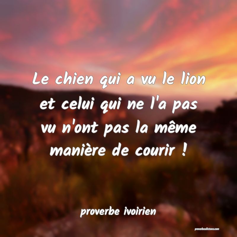 Le chien qui a vu le lion et celui qui ne l'a pas vu n'ont pas la même manière de courir !