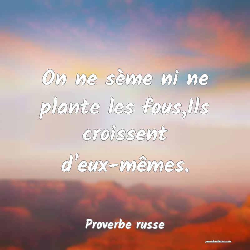 On ne sème ni ne plante les fous,Ils croissent d'eux-mêmes.