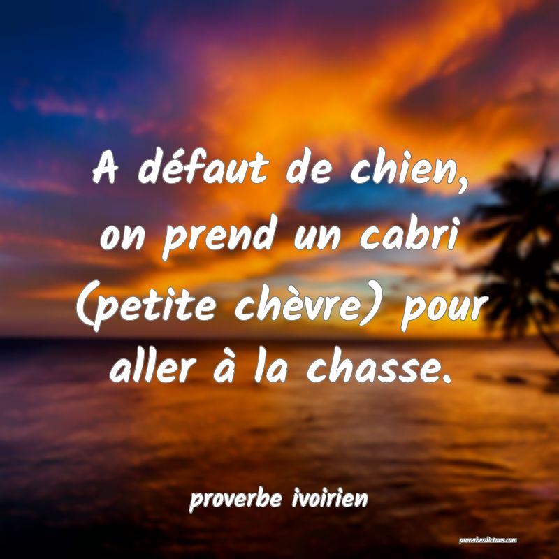 A défaut de chien, on prend un cabri (petite chèvre) pour aller à la chasse.