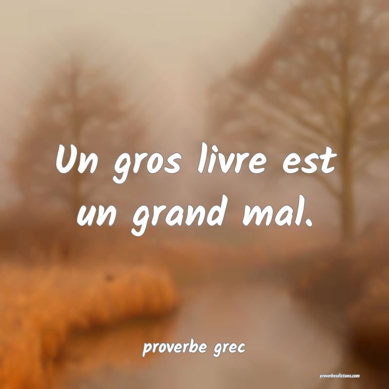 Un gros livre est un grand mal.