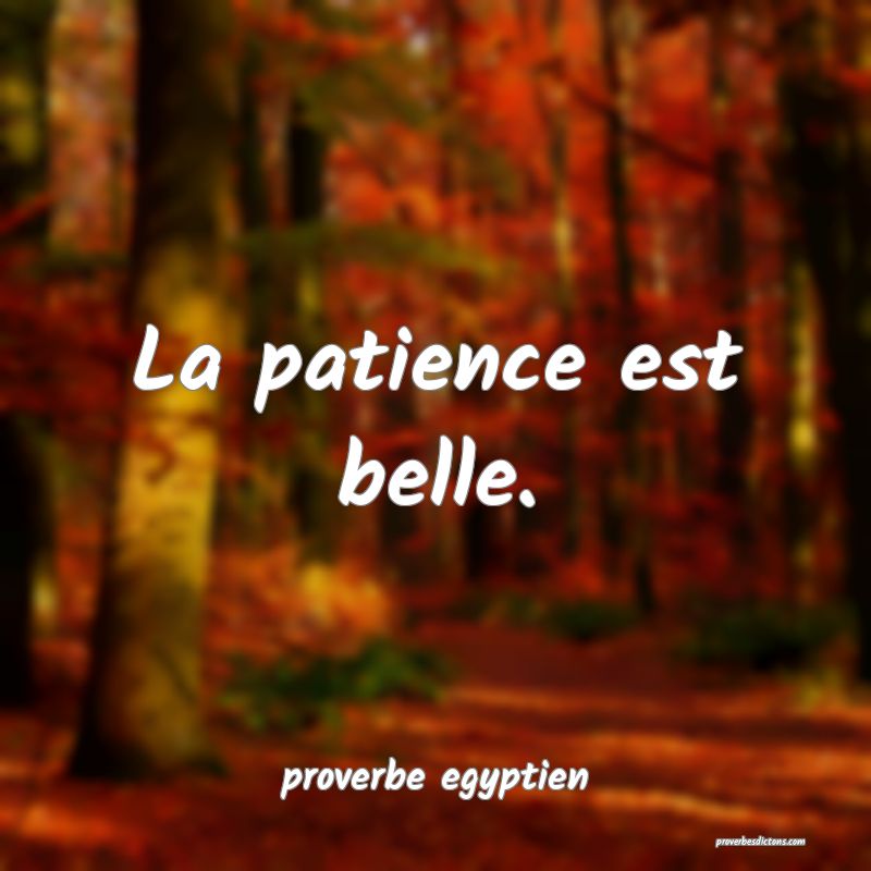 La patience est belle.