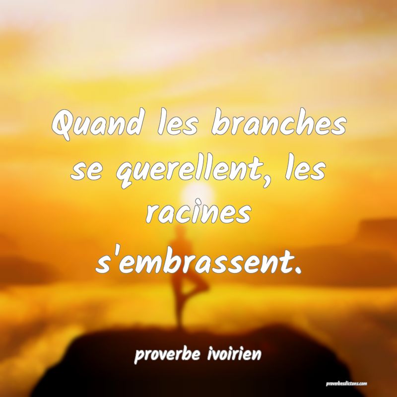 Quand les branches se querellent, les racines s'embrassent.