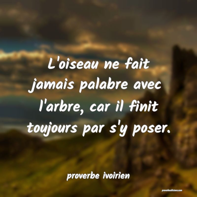 L'oiseau ne fait jamais palabre avec l'arbre, car il finit toujours par s'y poser.