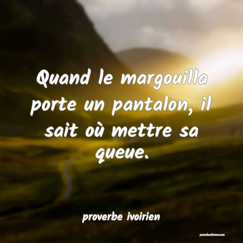 Quand le margouilla porte un pantalon, il sait où mettre sa queue.