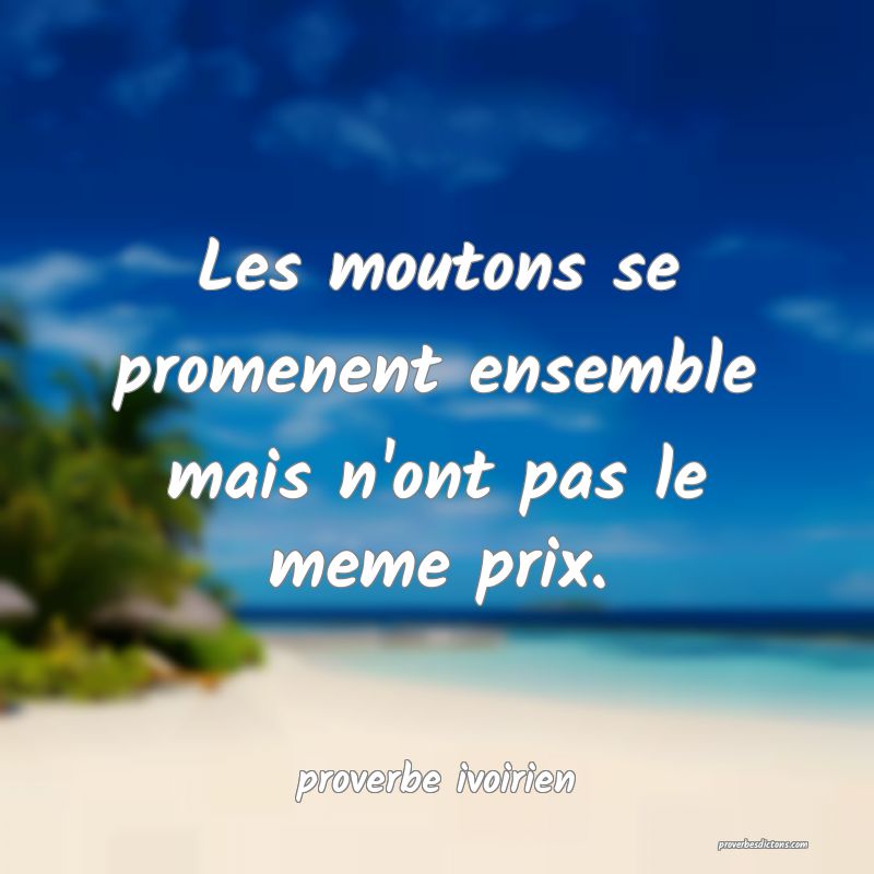Les moutons se promenent ensemble mais n'ont pas le meme prix.