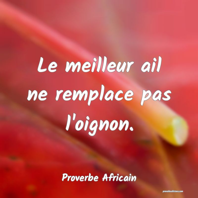 Le meilleur ail ne remplace pas l'oignon.