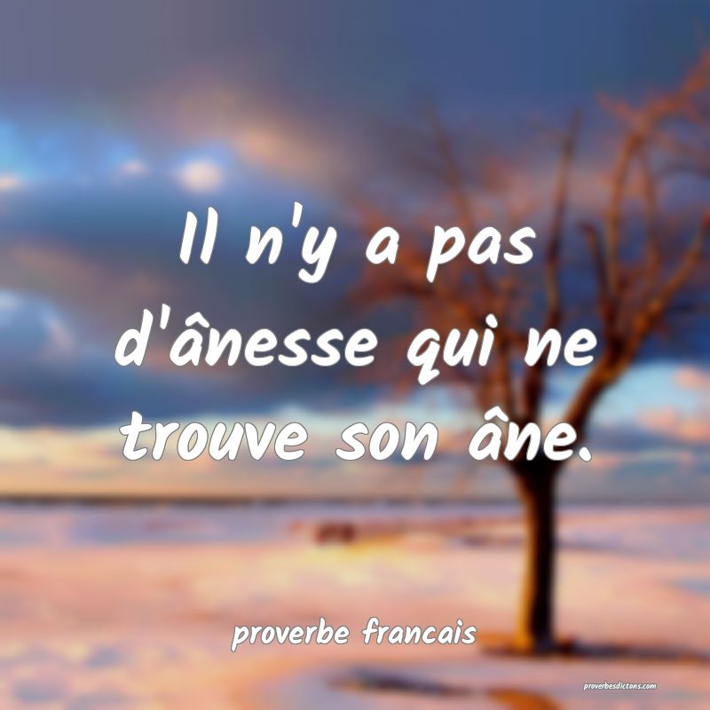 Il n'y a pas d'ânesse qui ne trouve son âne.