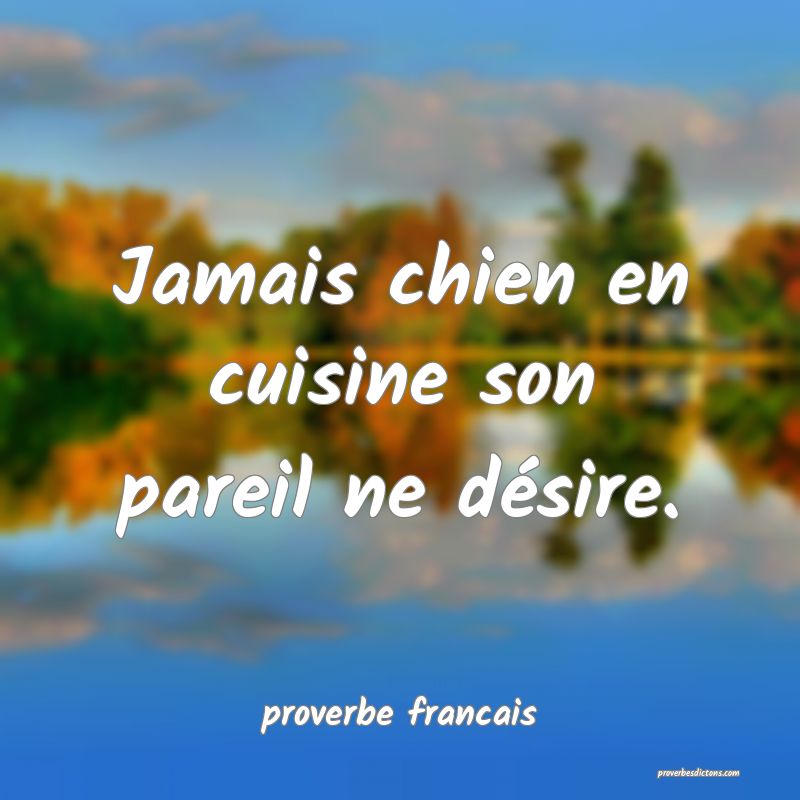Jamais chien en cuisine son pareil ne désire.