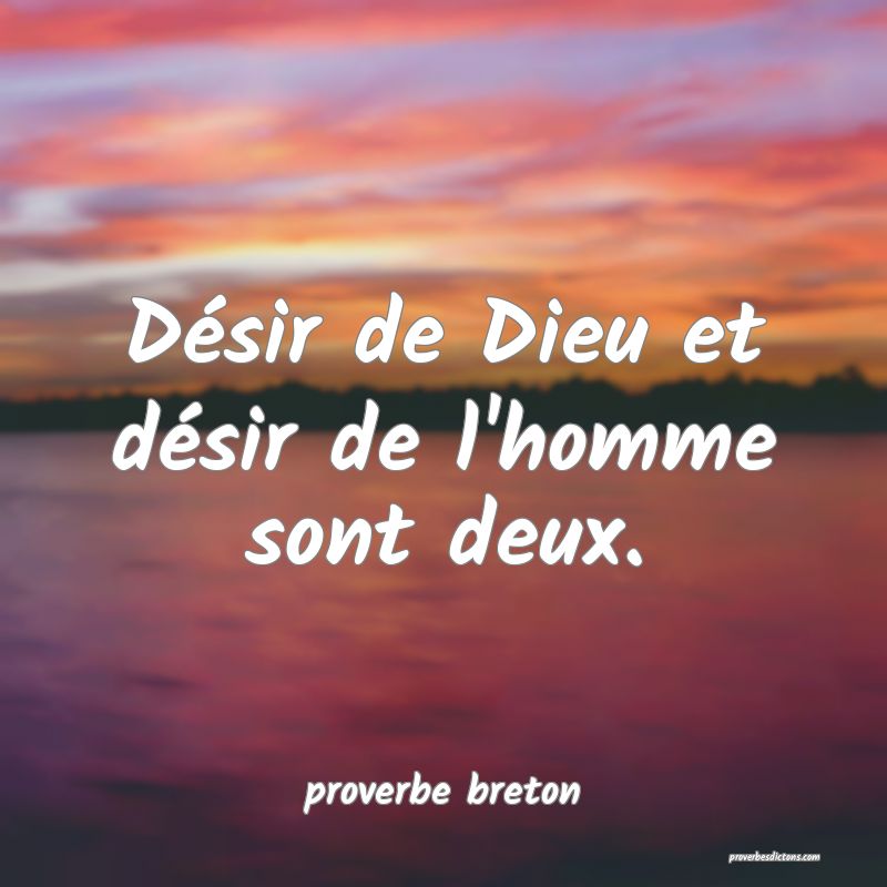  Désir de Dieu et désir de l'homme sont deux.