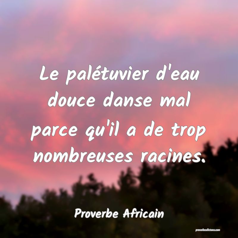 Le palétuvier d'eau douce danse mal parce qu'il a de trop nombreuses racines.