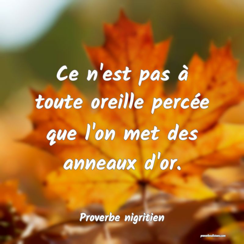 Ce n'est pas à toute oreille percée que l'on met des anneaux d'or.